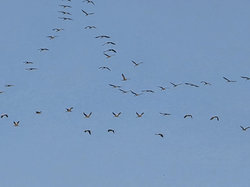 Amicale et AG du 26 février2026