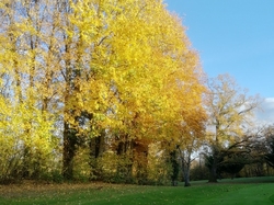 Hivernales 2018-2019